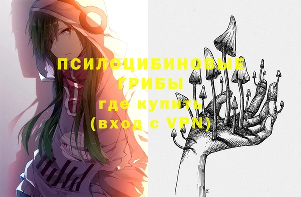 стафф Каменногорск