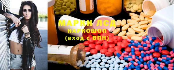 ПСИЛОЦИБИНОВЫЕ ГРИБЫ Каменка