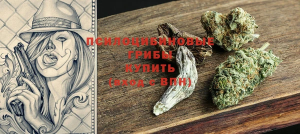 ПСИЛОЦИБИНОВЫЕ ГРИБЫ Каменка