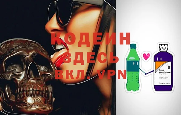 стафф Каменногорск