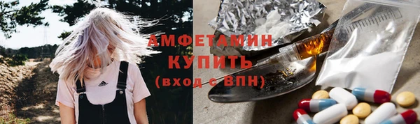 ПСИЛОЦИБИНОВЫЕ ГРИБЫ Каменка