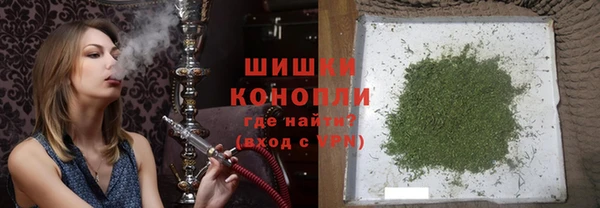 ПСИЛОЦИБИНОВЫЕ ГРИБЫ Каменка
