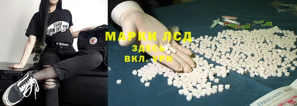 ПСИЛОЦИБИНОВЫЕ ГРИБЫ Каменка